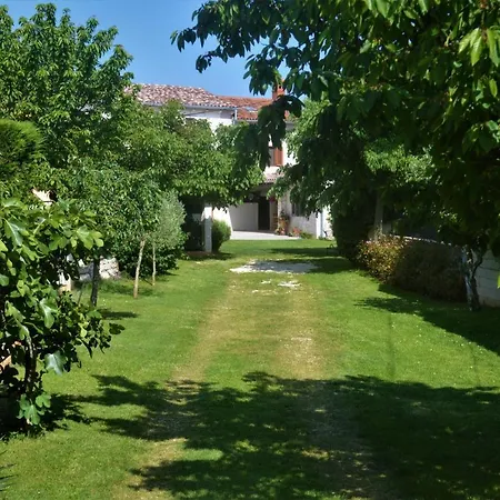 Kuca Za Odmor Gino Holiday home Sajini